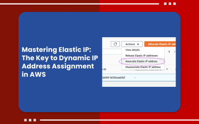 Mastering Elastic IP: The Key to Dynamic IP Address Assignment in AWS