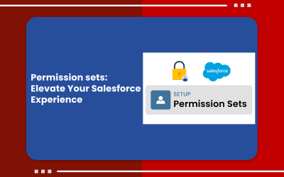 Permission Sets: Elevate Your Salesforce Experience